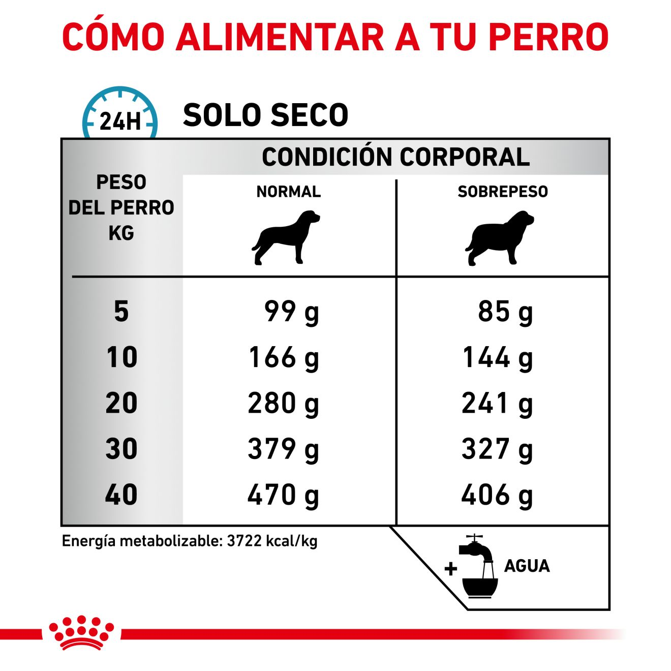  Hypoallergenic Moderate Calorie