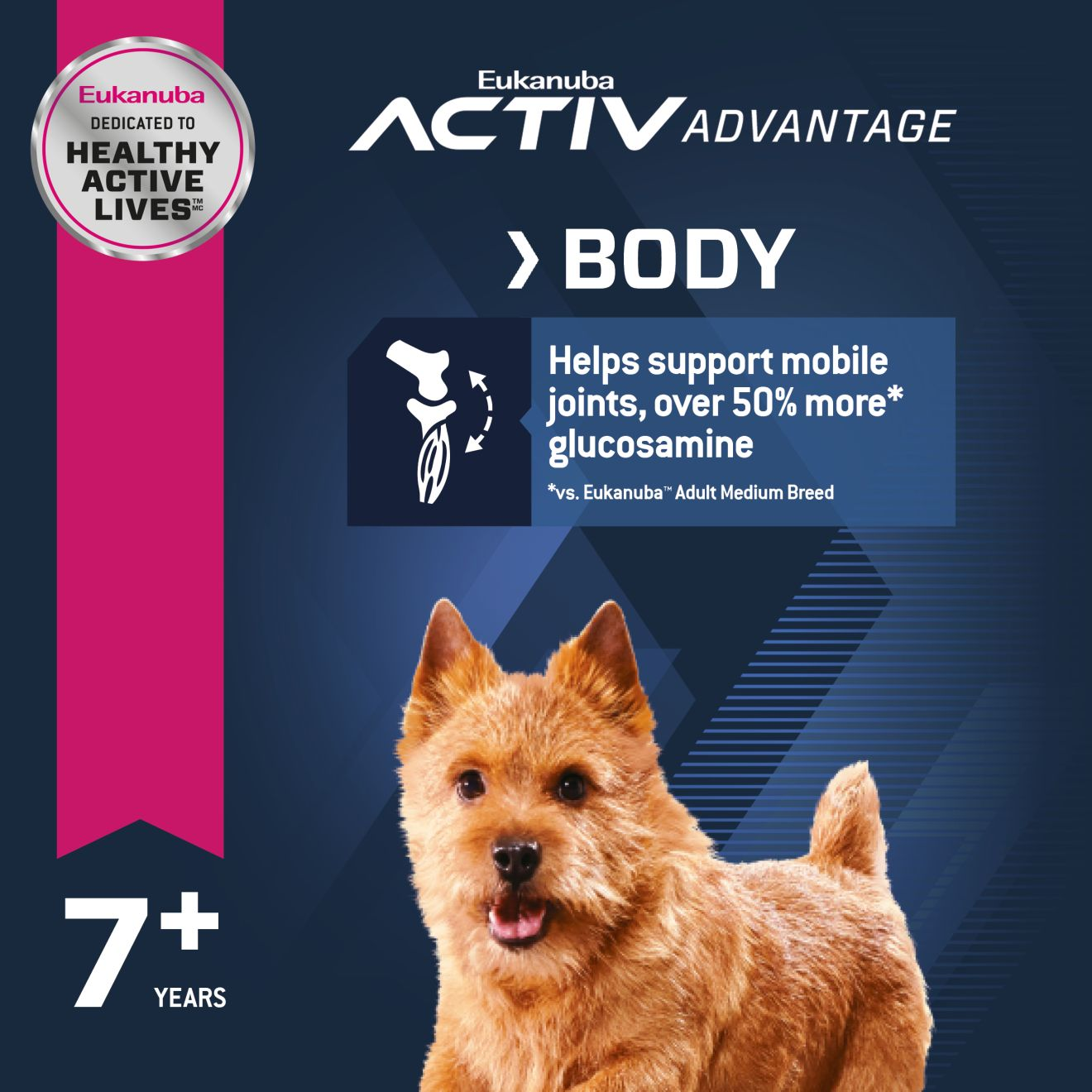 Eukanuba Senior Small Breed 