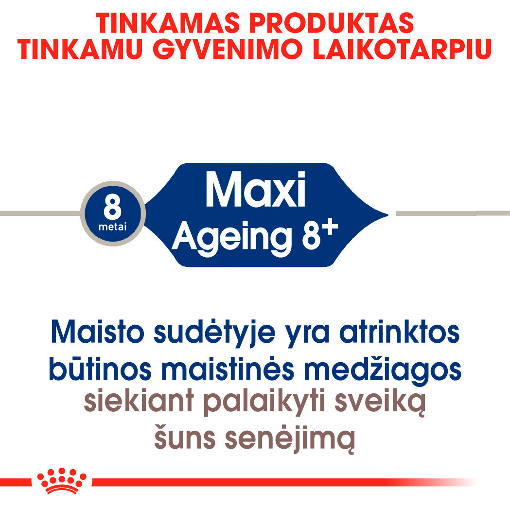 Maxi Ageing 8+