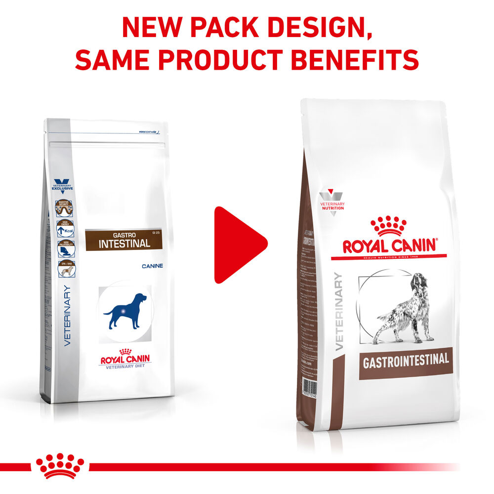 Gastrointestinal Royal Canin UK