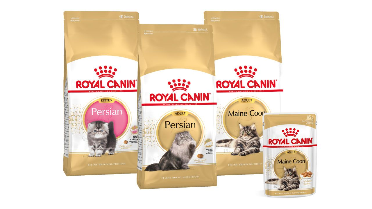 Feline breed nutrition range pack shot