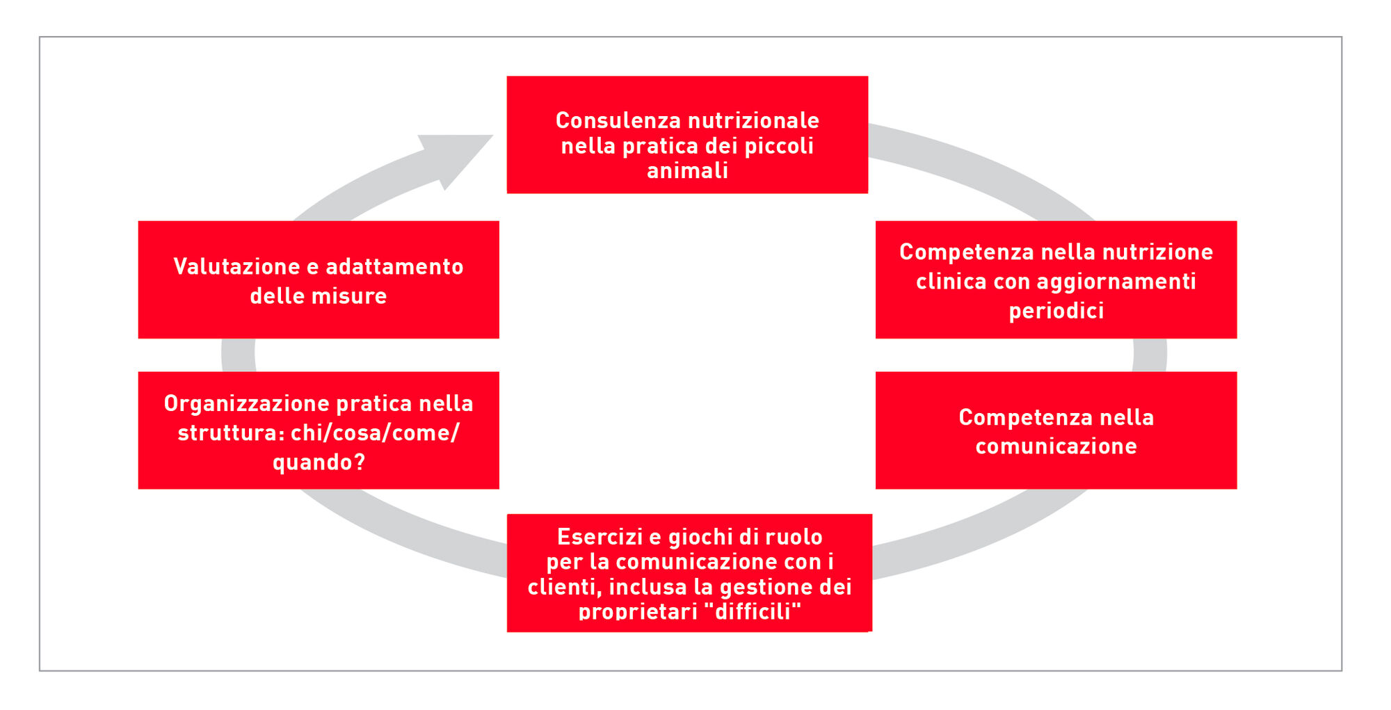 Figura 3. Ingredienti per implementare efficacemente una consulenza nutrizionale professionale nella struttura.