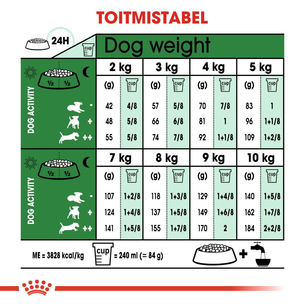 Royal Canin Mini Adult 12+ kuivtoit