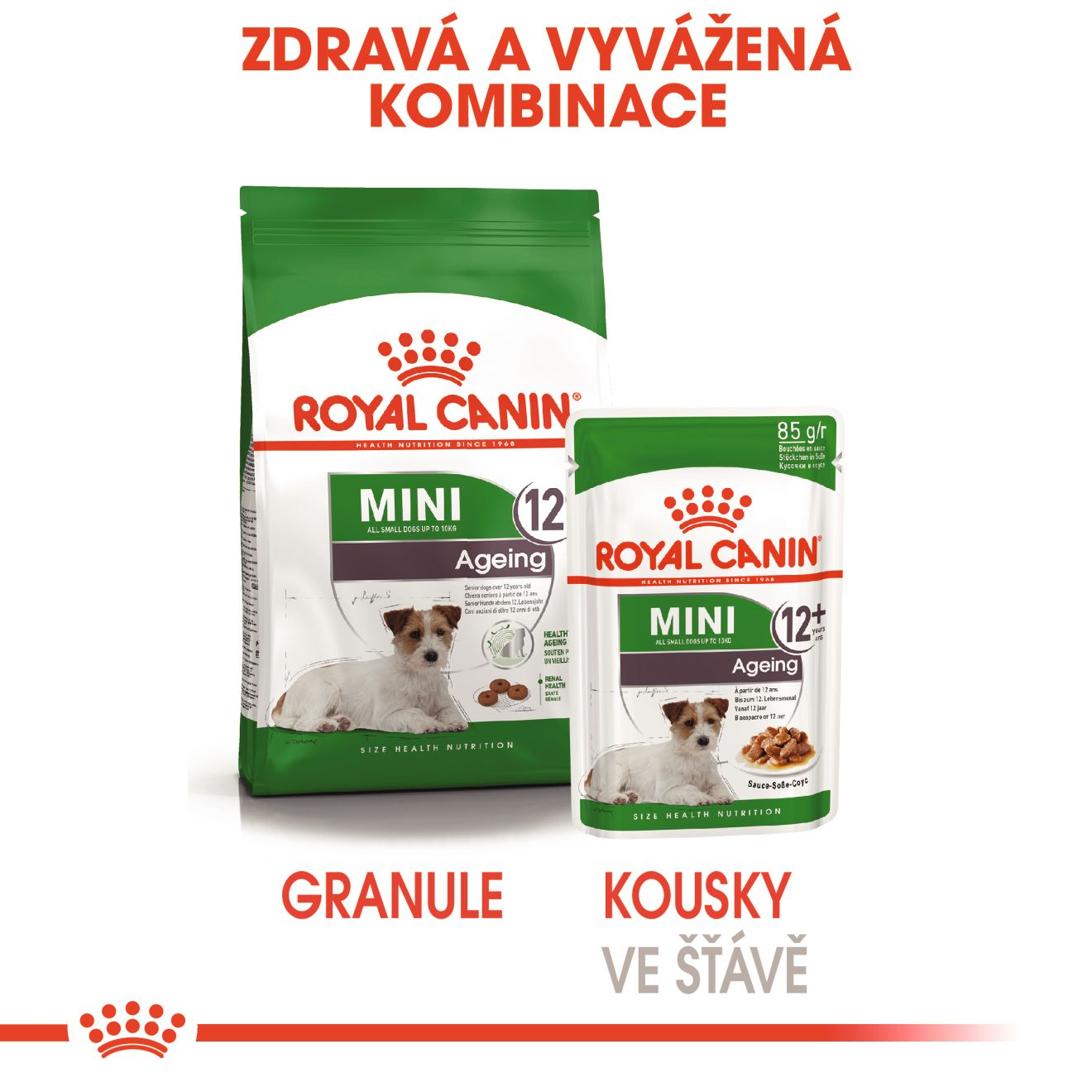 ROYAL CANIN Mini Ageing kapsička ve šťávě pro starší psy malých plemen nad 12 let