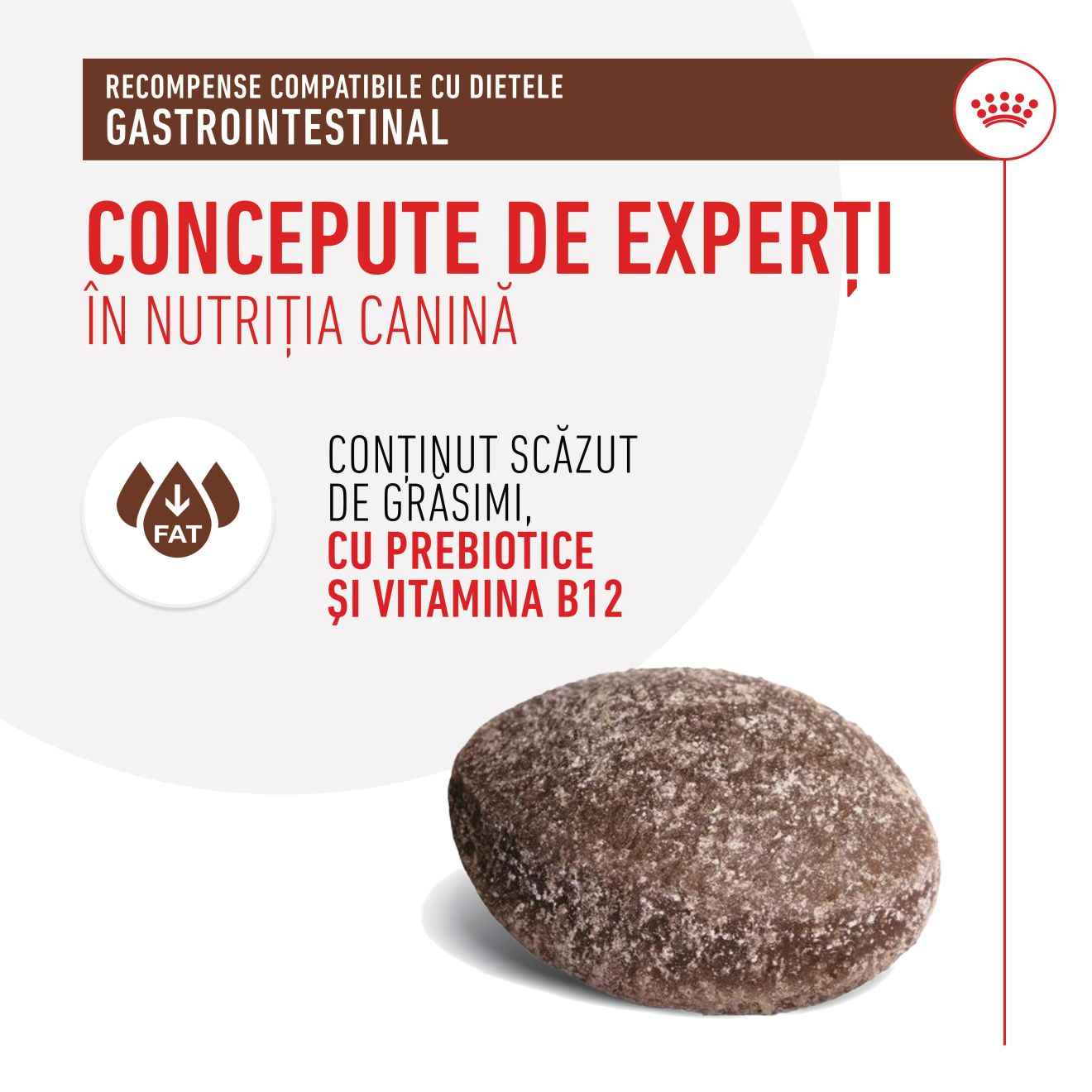 TREATS COMPATIBLE WITH GASTROINTESTINAL DIETS​