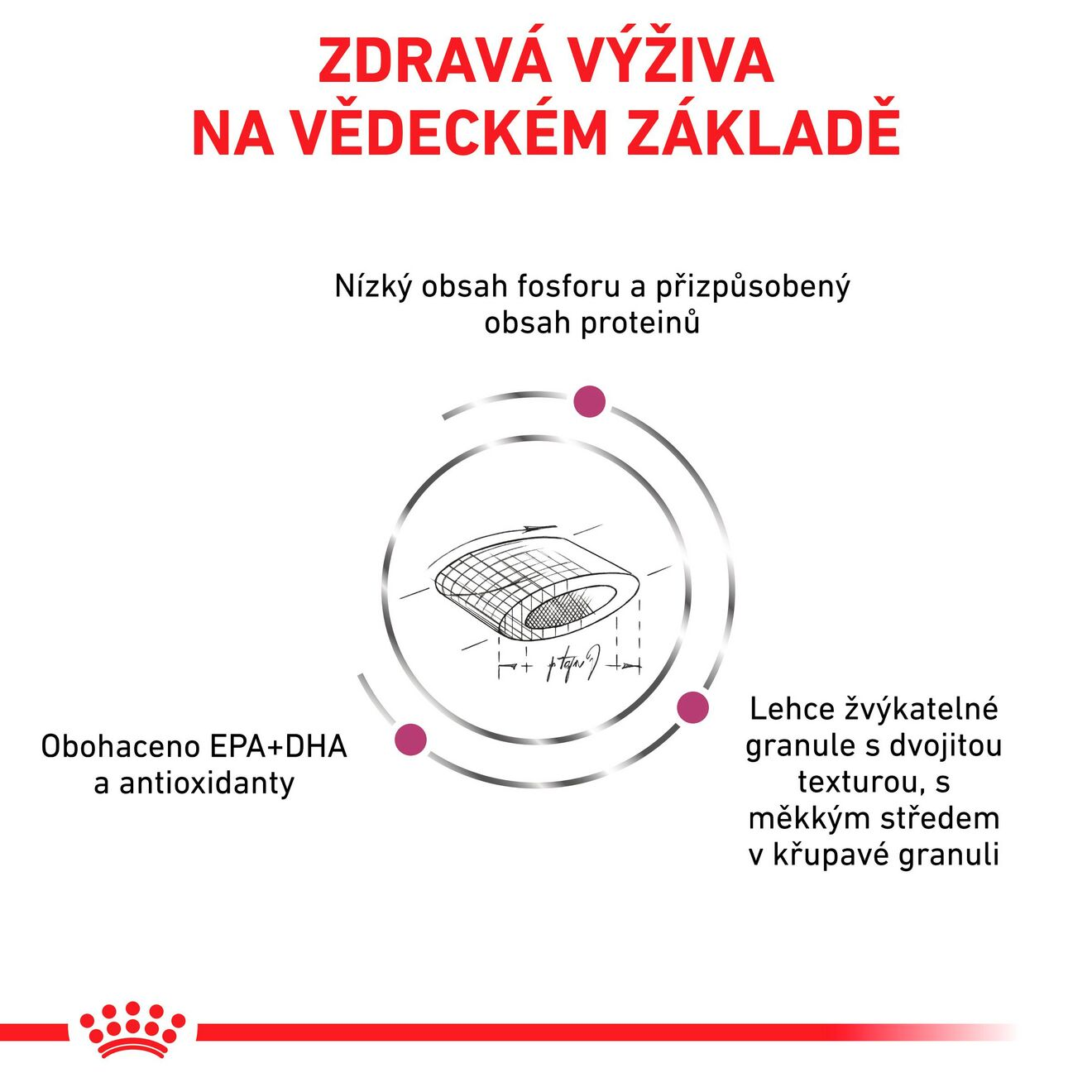 VHN Cat Renal Select