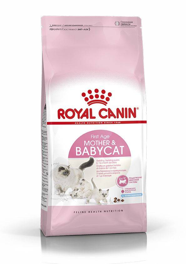 Kitten Dry - Royal Canin