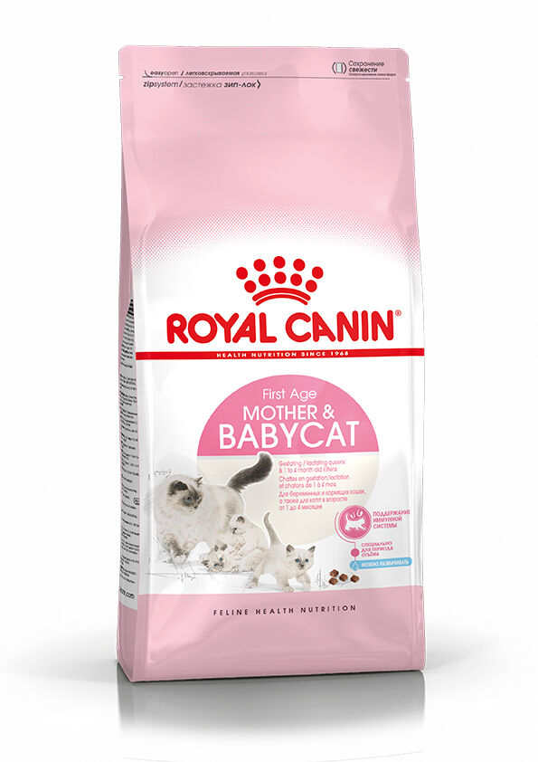 coverage transfer wherever Kitten dry | Royal Canin