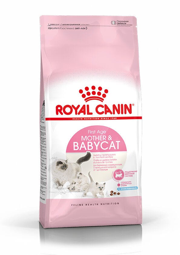 Royal canin kitten store mother