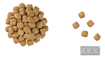 12 VCNF DRY Kibbles - NEU-SB-VCNC-CROC