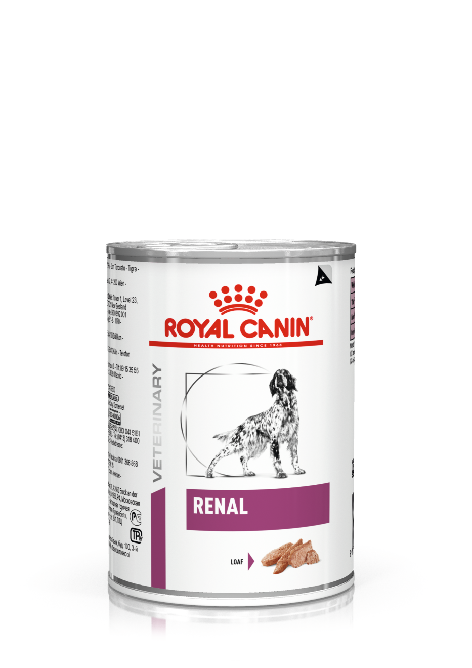 Renal