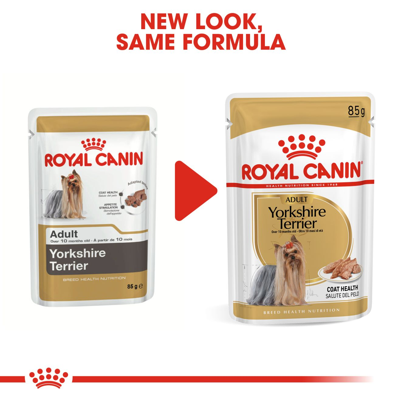 Royal canin 2024 breed yorkshire terrier