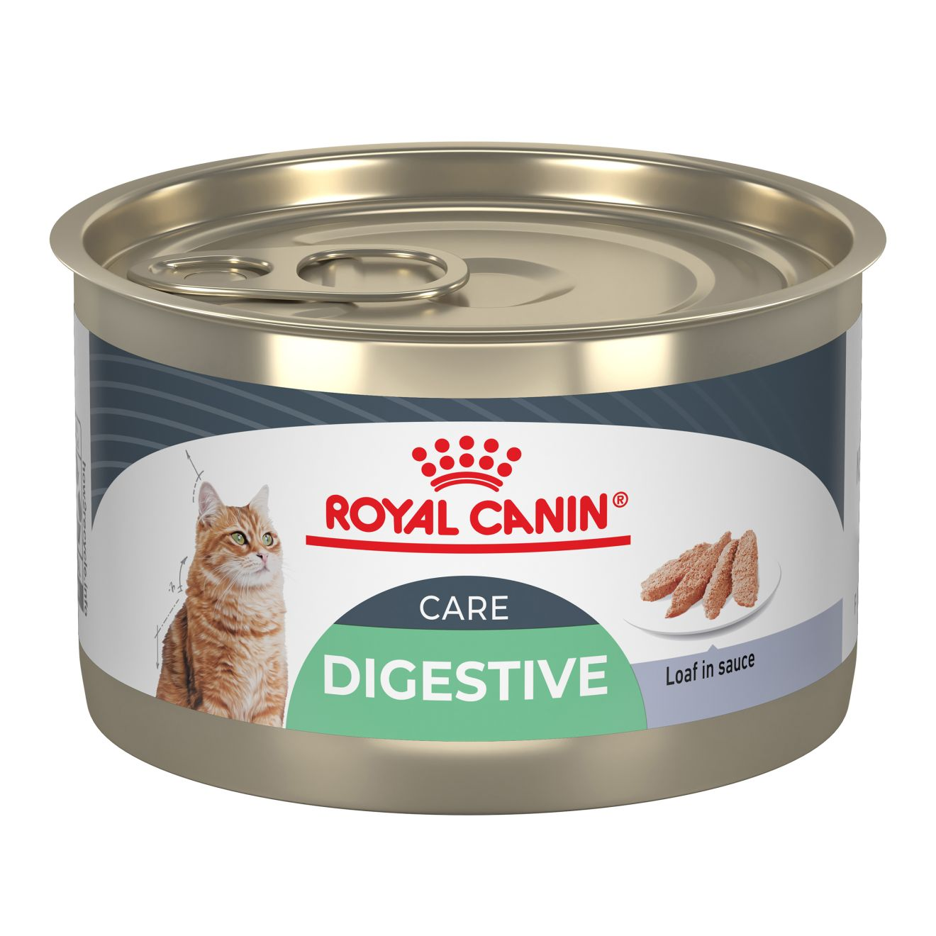 Feline Digestive Care Loaf In Sauce Royal Canin US