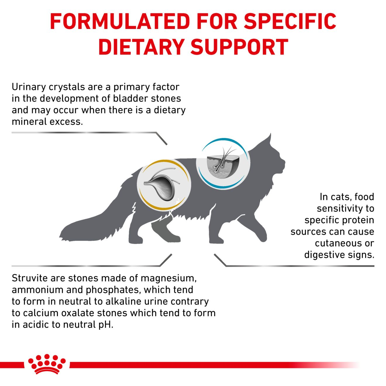 Feline Urinary SO® + Hydrolyzed Protein
