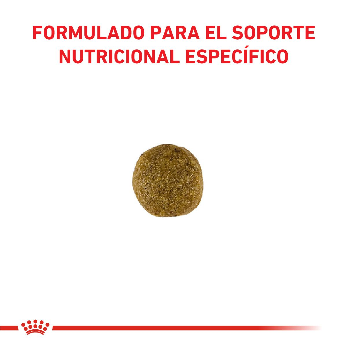 Gastrointestinal Canine