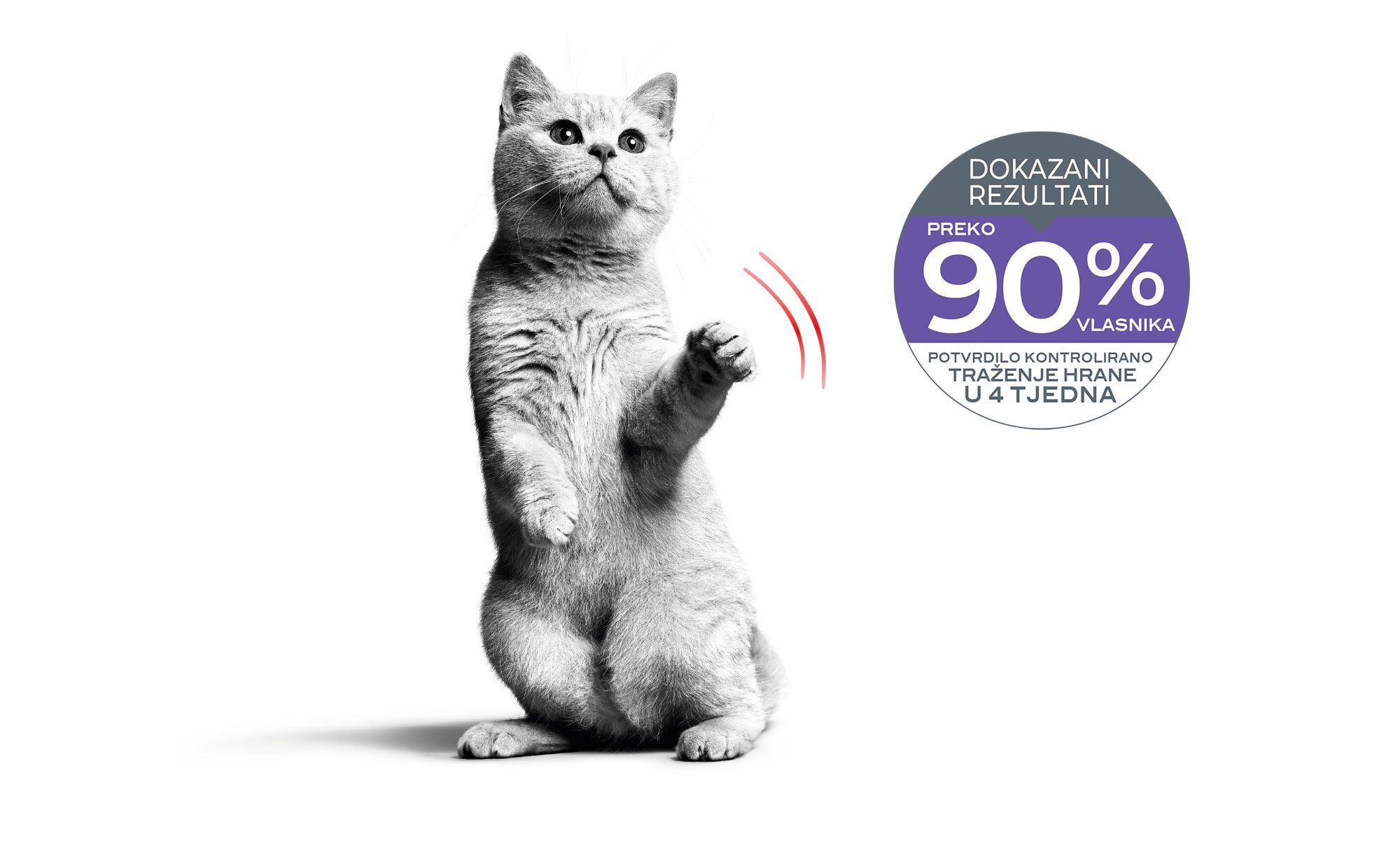 Emblematic of cat with appetite control sensitivity and associated proven results