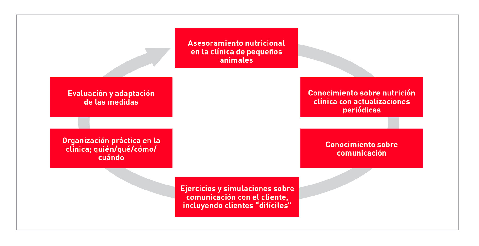 Ingredientes para poner en marcha el asesoramiento nutricional profesional en la clínica de forma satisfactoria
