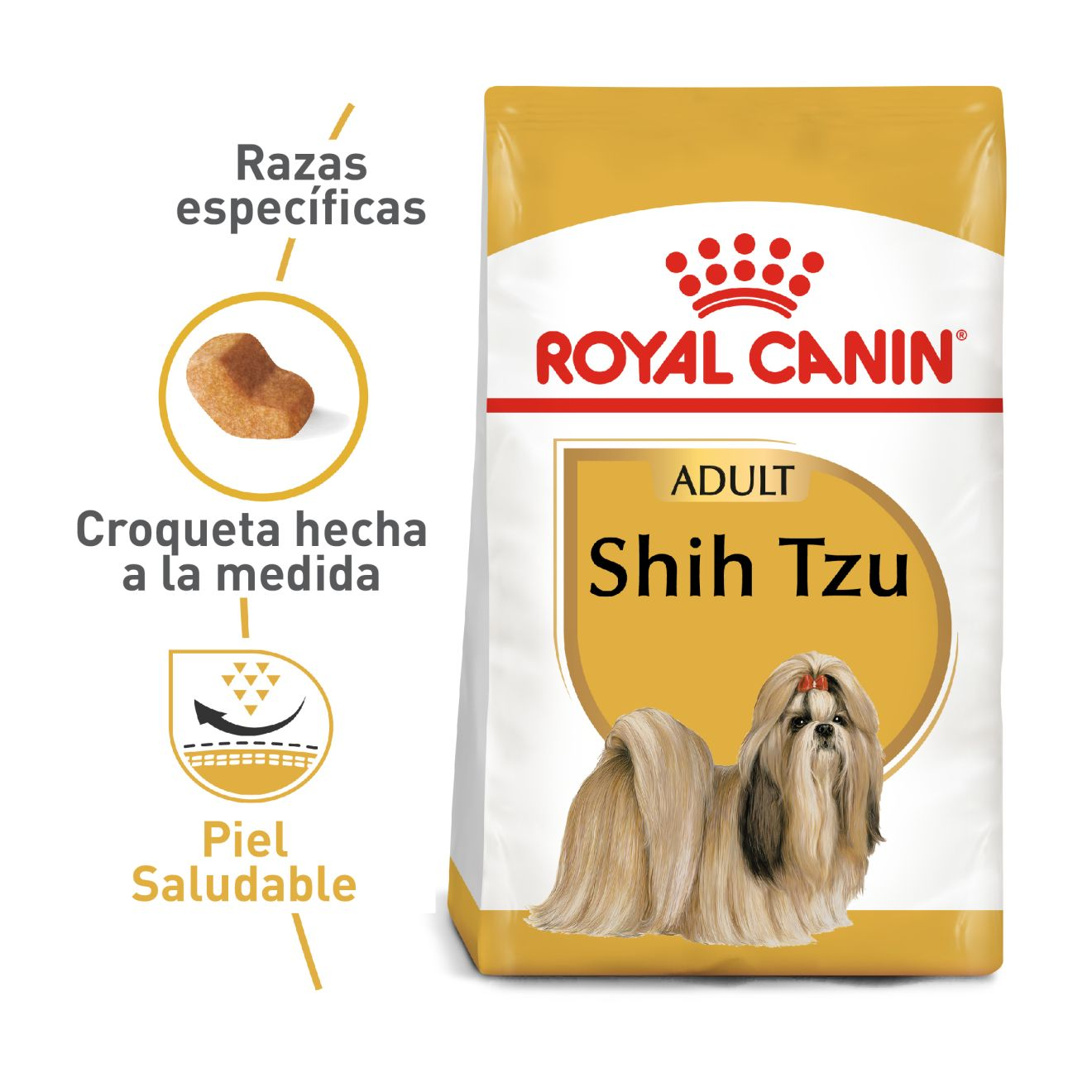 Shih Tzu Adulto