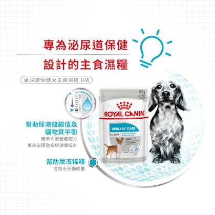 A+_UW_正方形_03