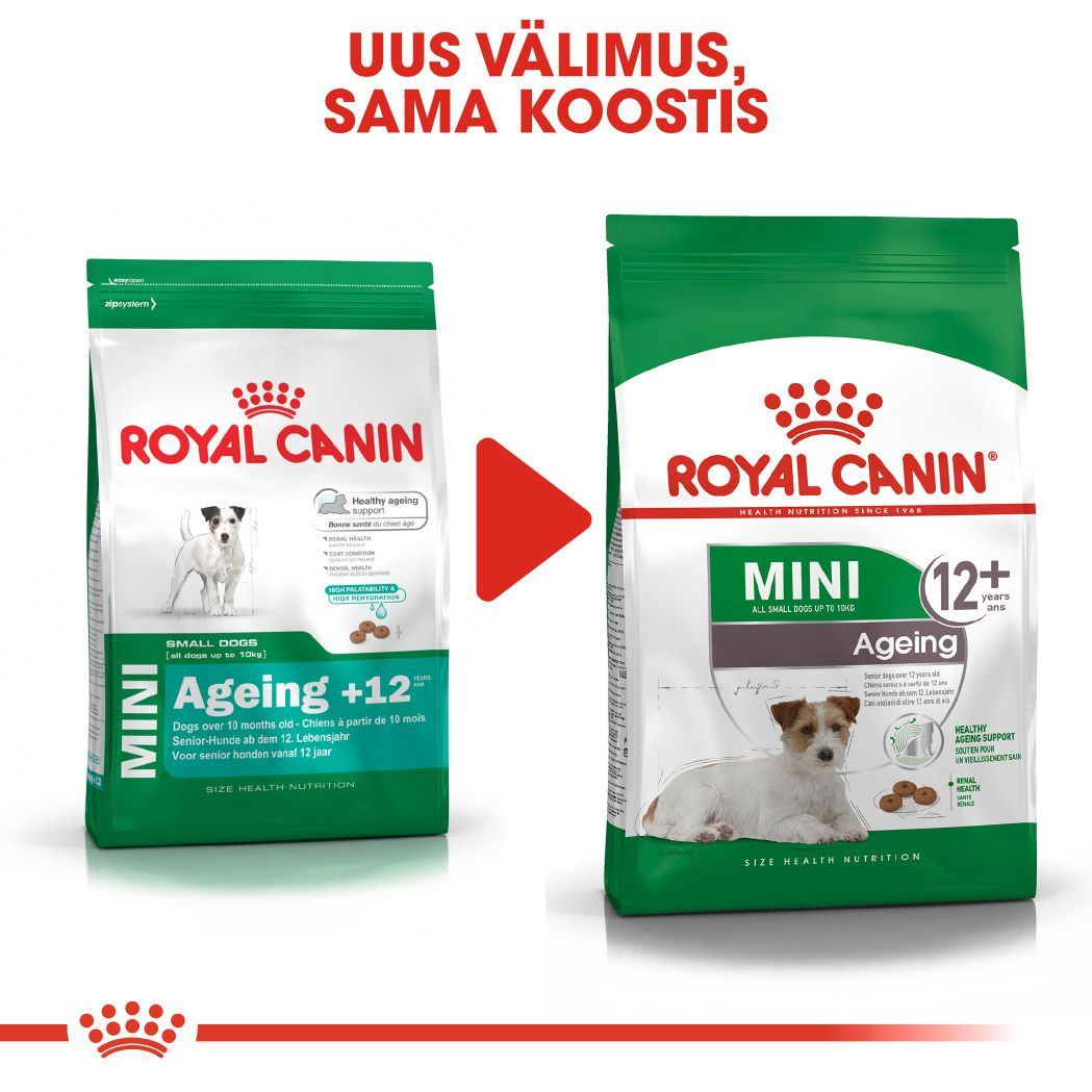 Royal Canin Mini Adult 12+ kuivtoit