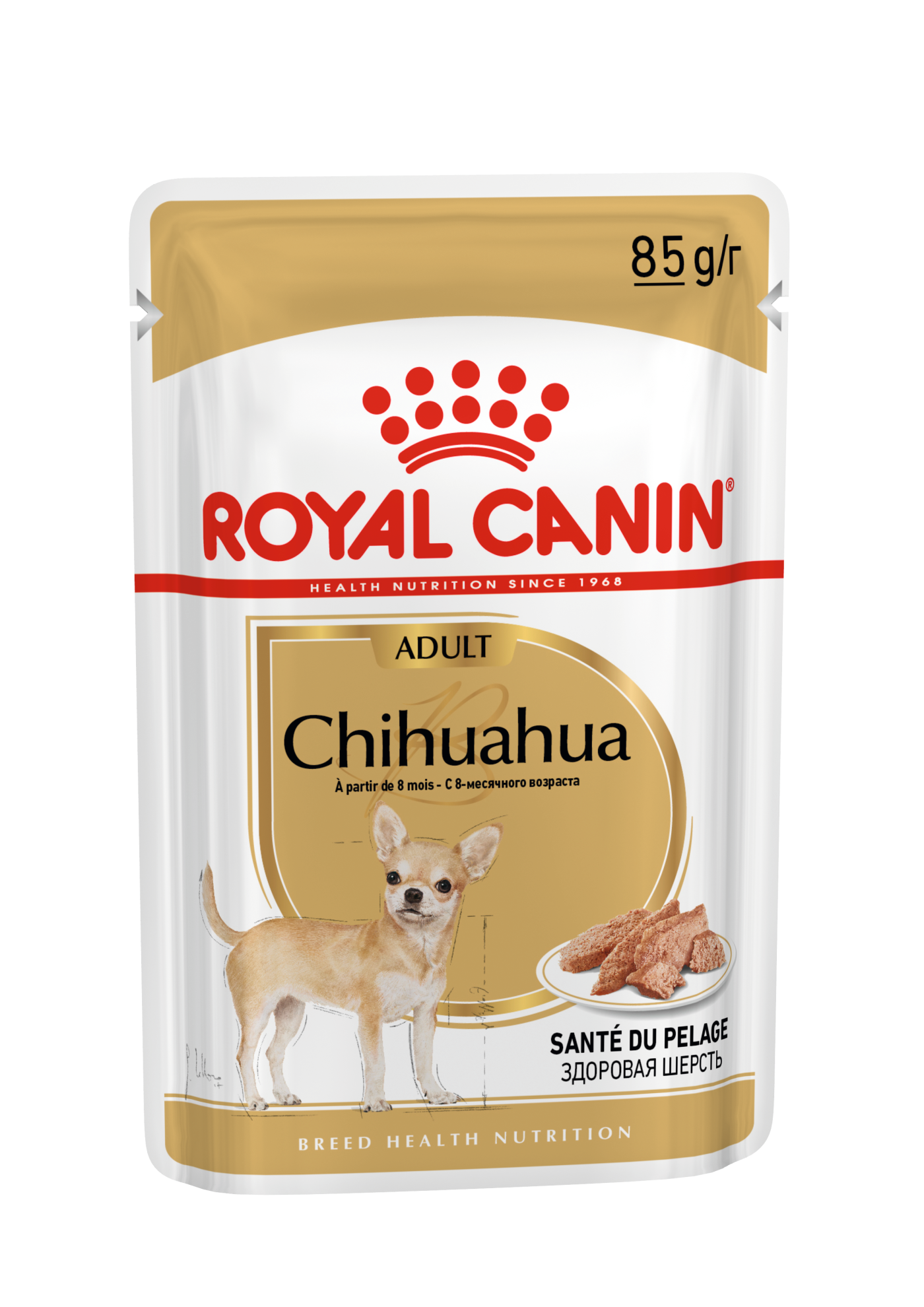 Chihuahua