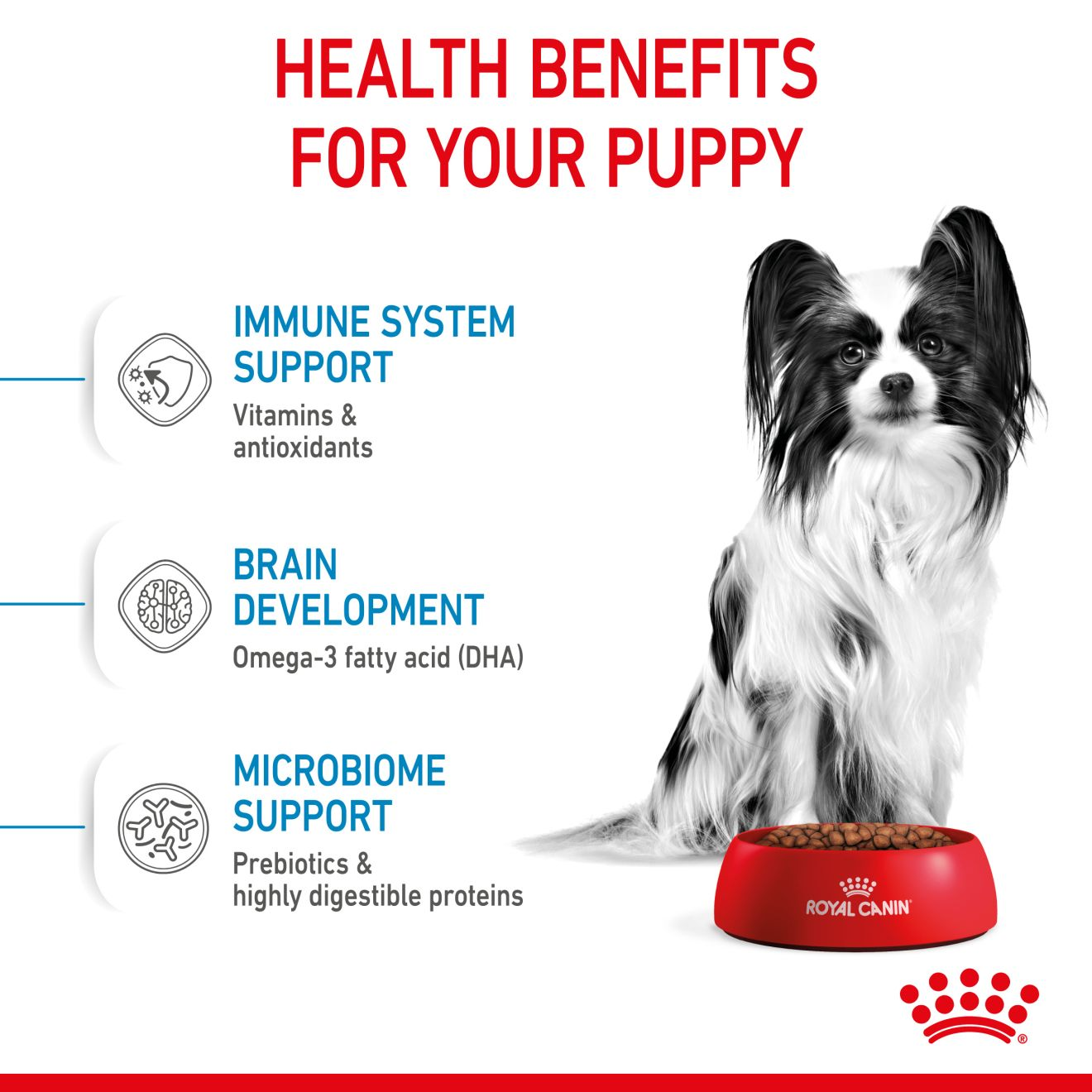 Royal canin outlet puppy small bites