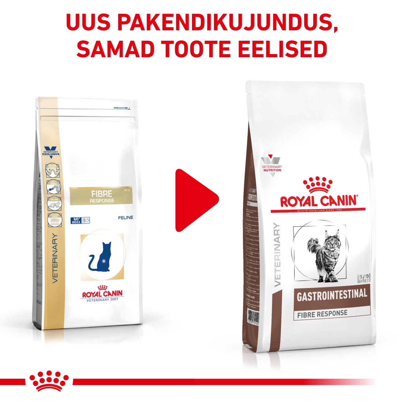 Royal Canin Gastrointestinal Fibre Response Cat kuivtoit
