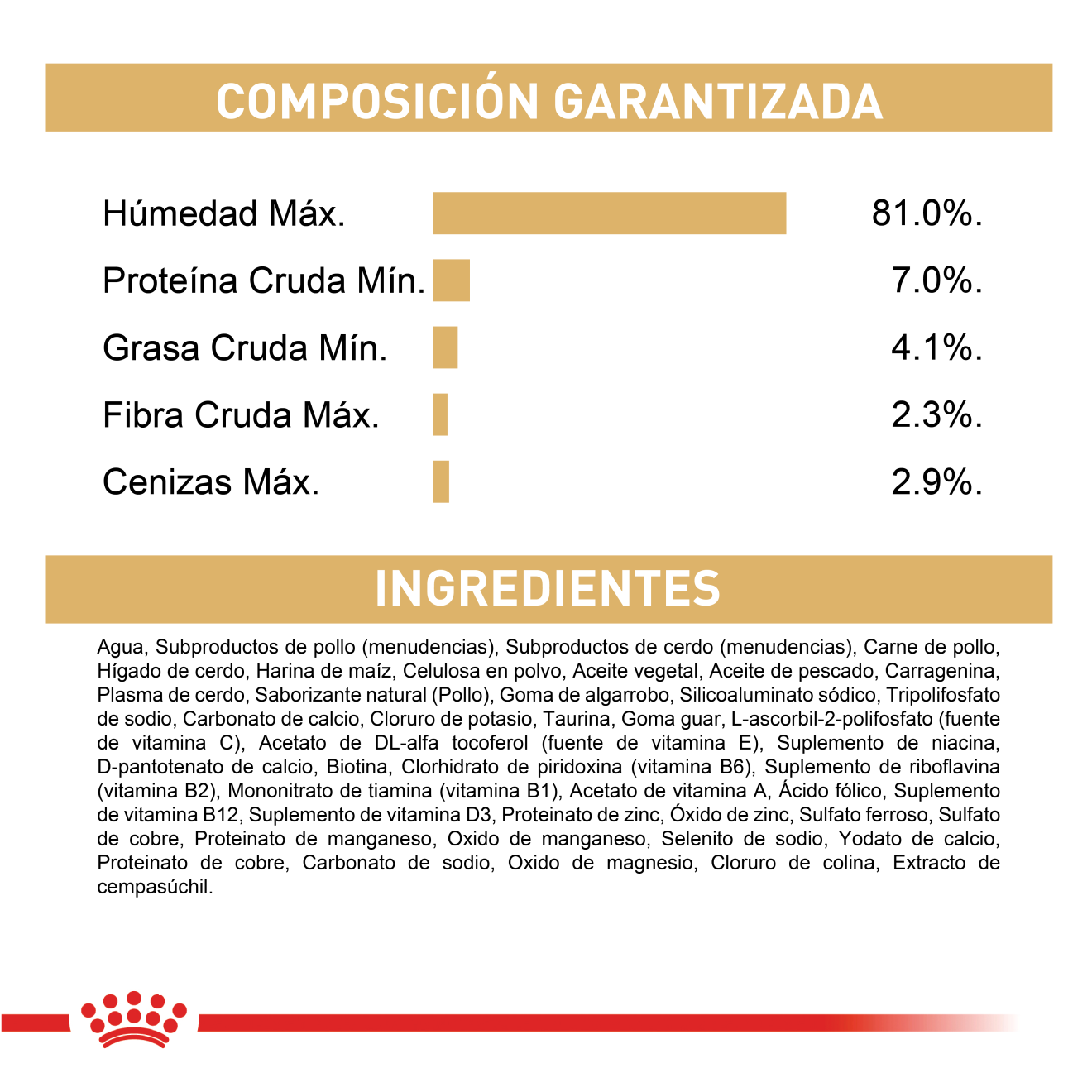 Chihuahua Adulto Lata