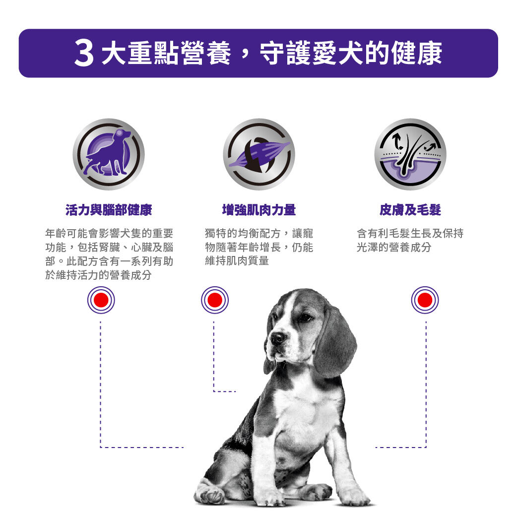 中型老犬健康管理配方