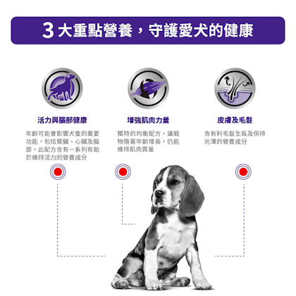 中型老犬健康管理配方_方_2