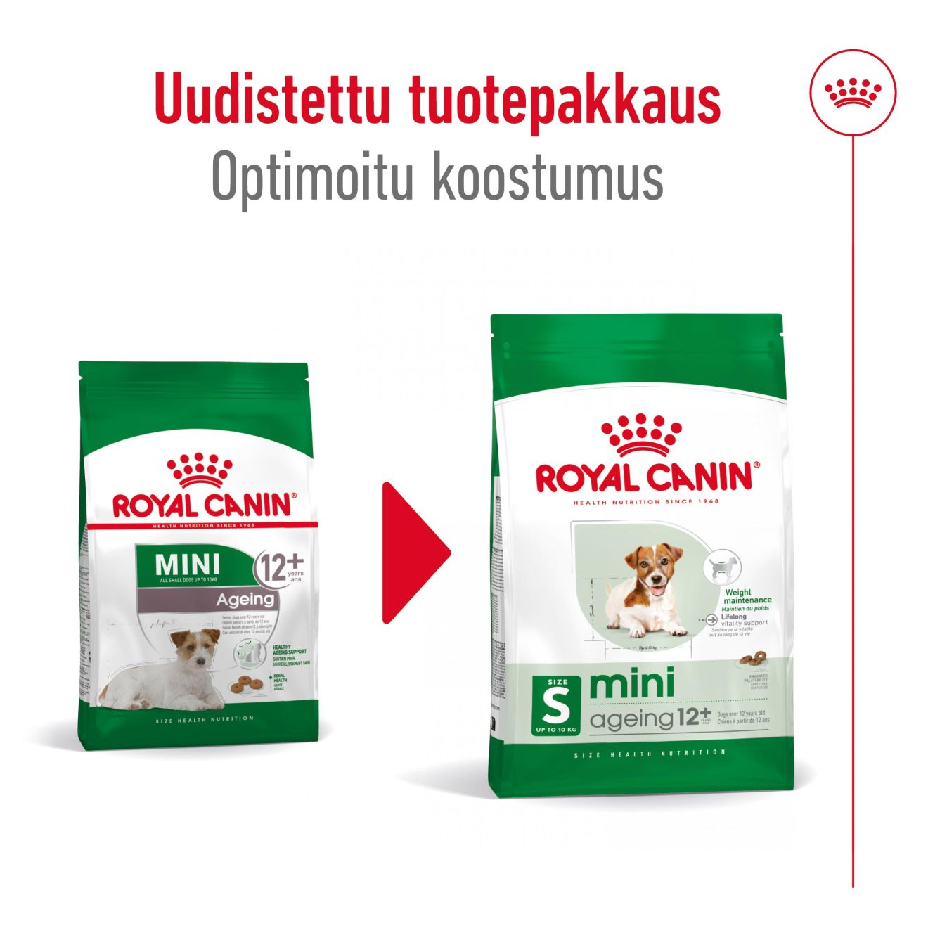 Mini Ageing 12+