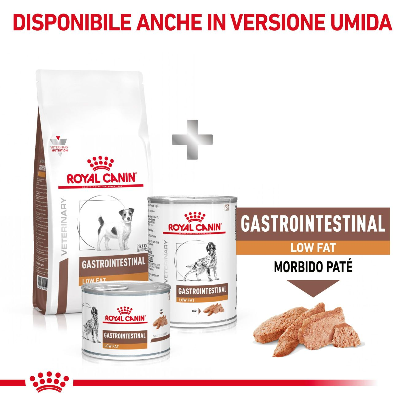 Gastrointestinal Low Fat Small Dog