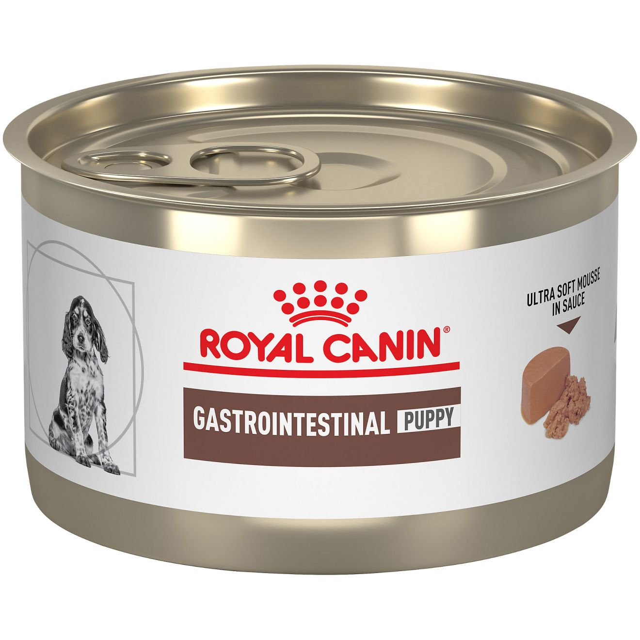 Royal canin gastrointestinal can dog sale food