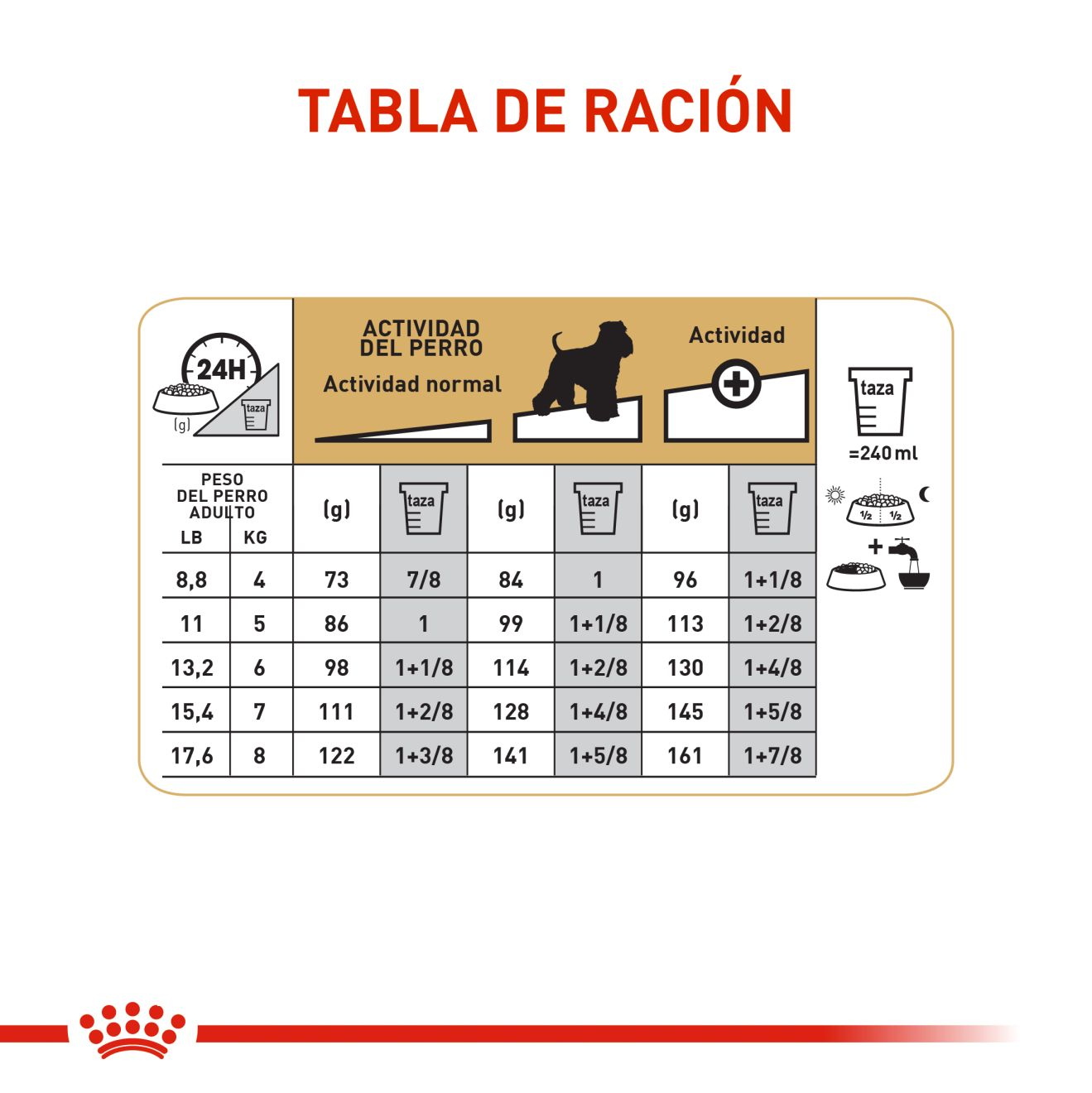 Schnauzer Miniatura Adulto