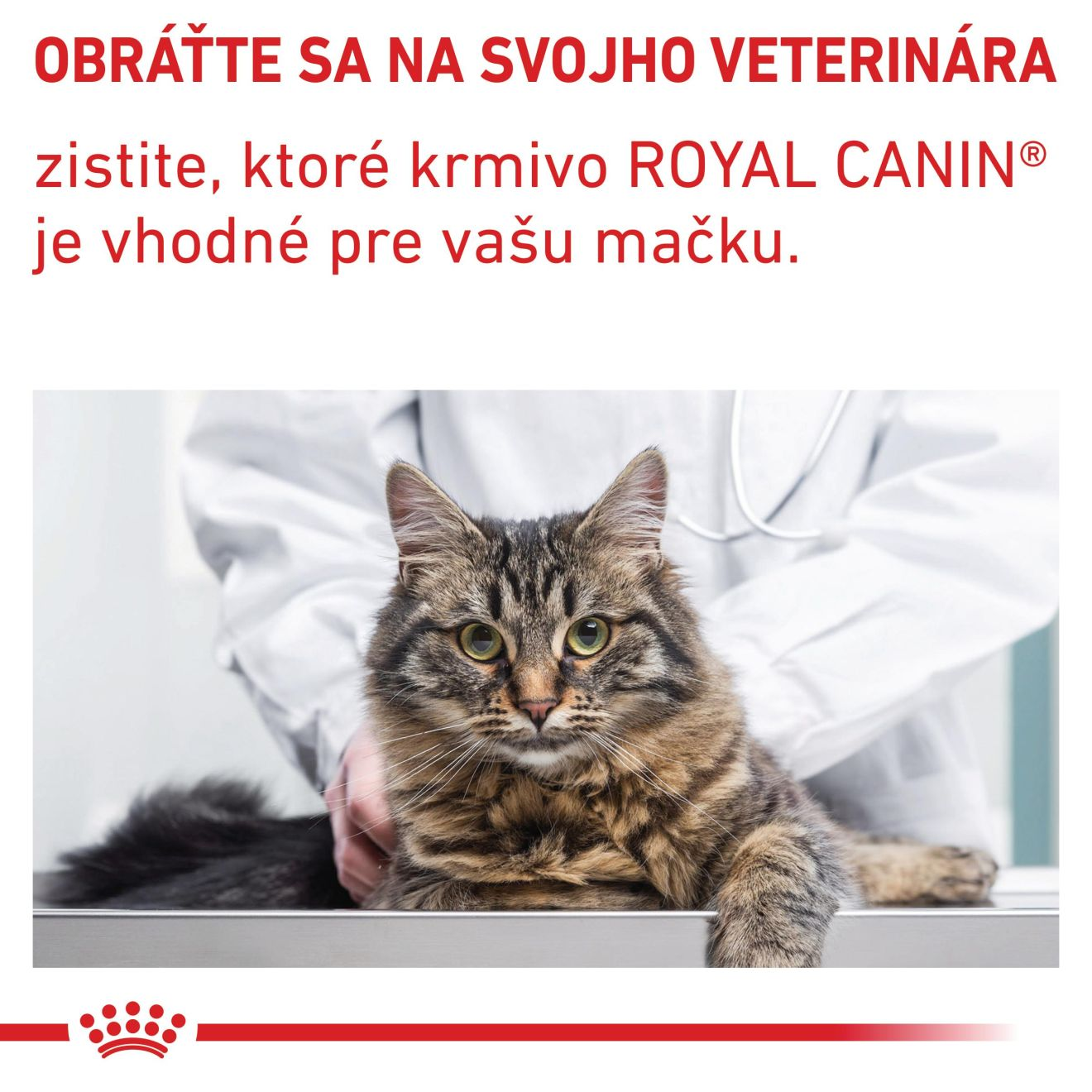 VHN Neutered satiety balance