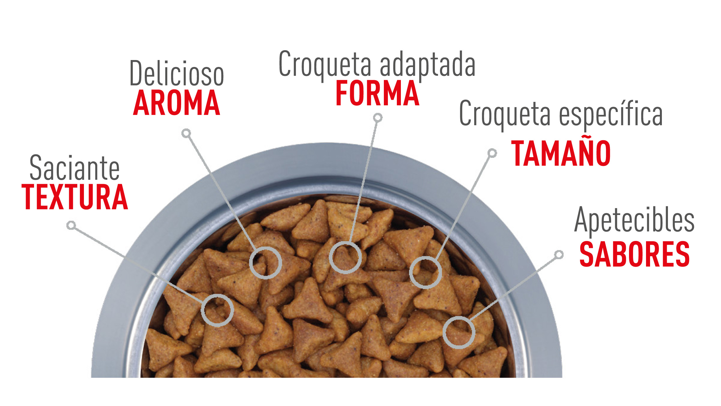 Saciante textura, Delicioso aroma, Croqueta adaptada forma, Croqueta específica tamano, Apetecible sabores