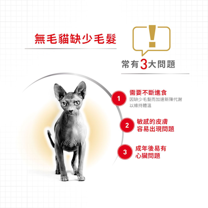 Royal Canin _無毛貓成貓專屬配方_正方形_HK_2