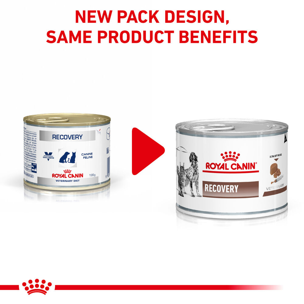 Royal Canin Recovery Discounted Shop