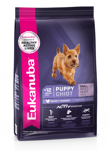 Eukanuba growing shop puppy small breed