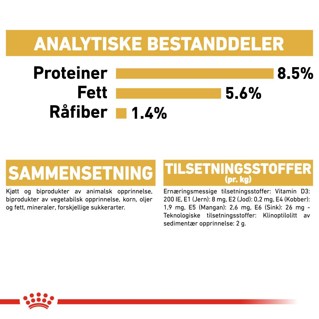 Chihuahua Adult Loaf