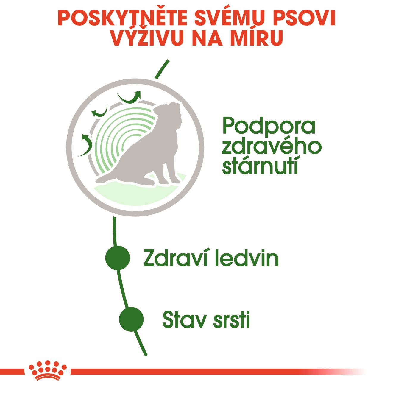 ROYAL CANIN Mini Ageing kapsička ve šťávě pro starší psy malých plemen nad 12 let