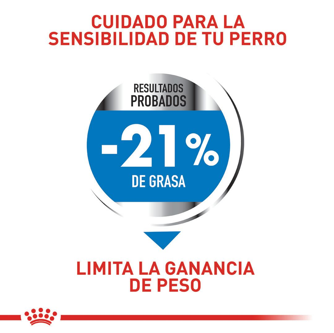 Light Weight Care Perro Mediano