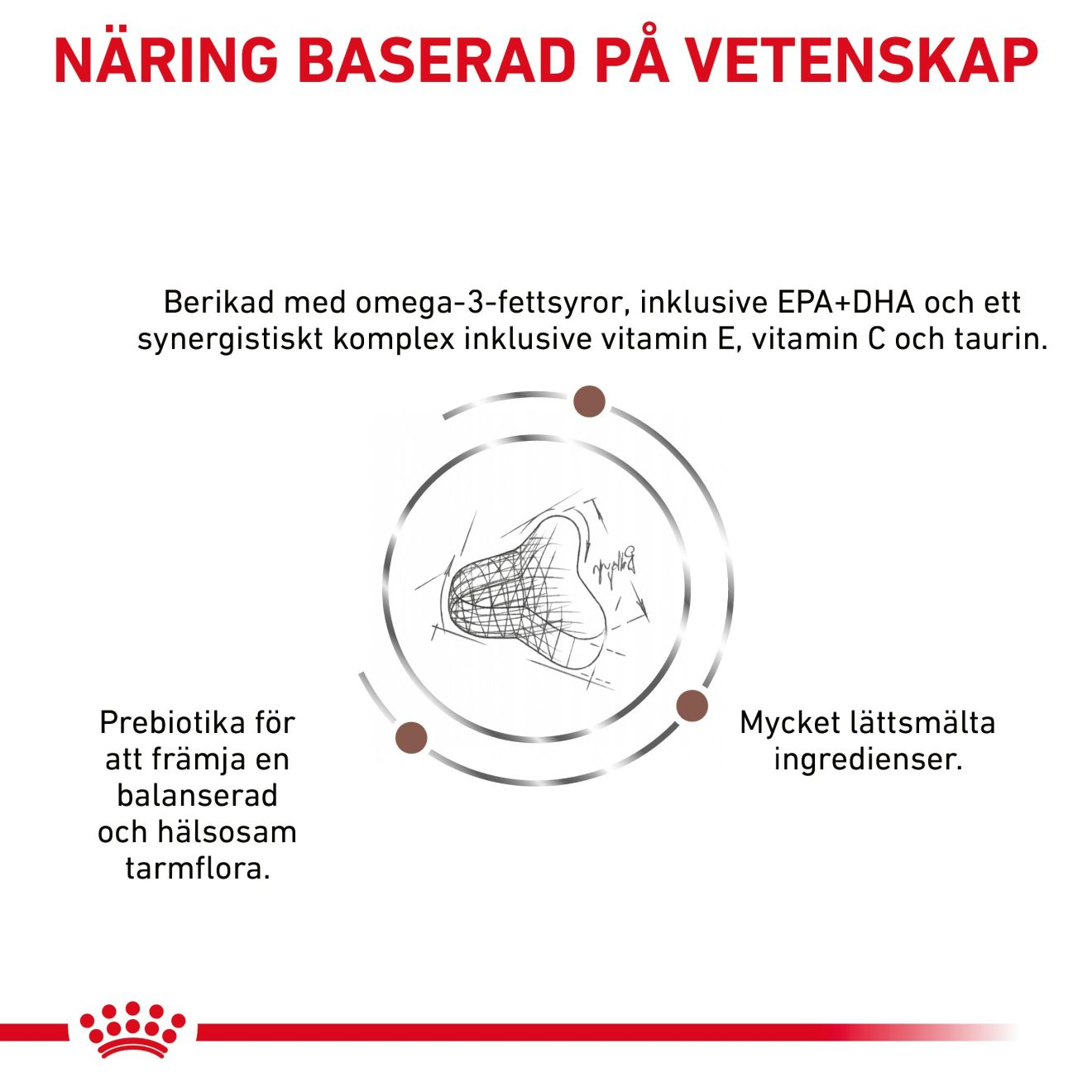 Gastrointestinal Fibre Response Royal Canin SE