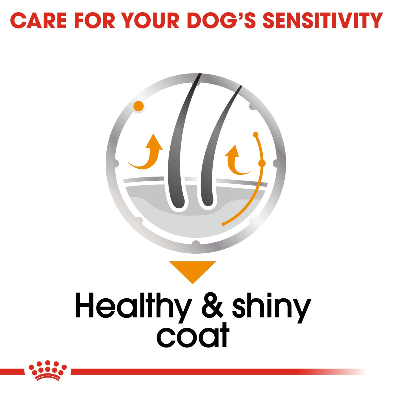 Coat Care Royal Canin AU