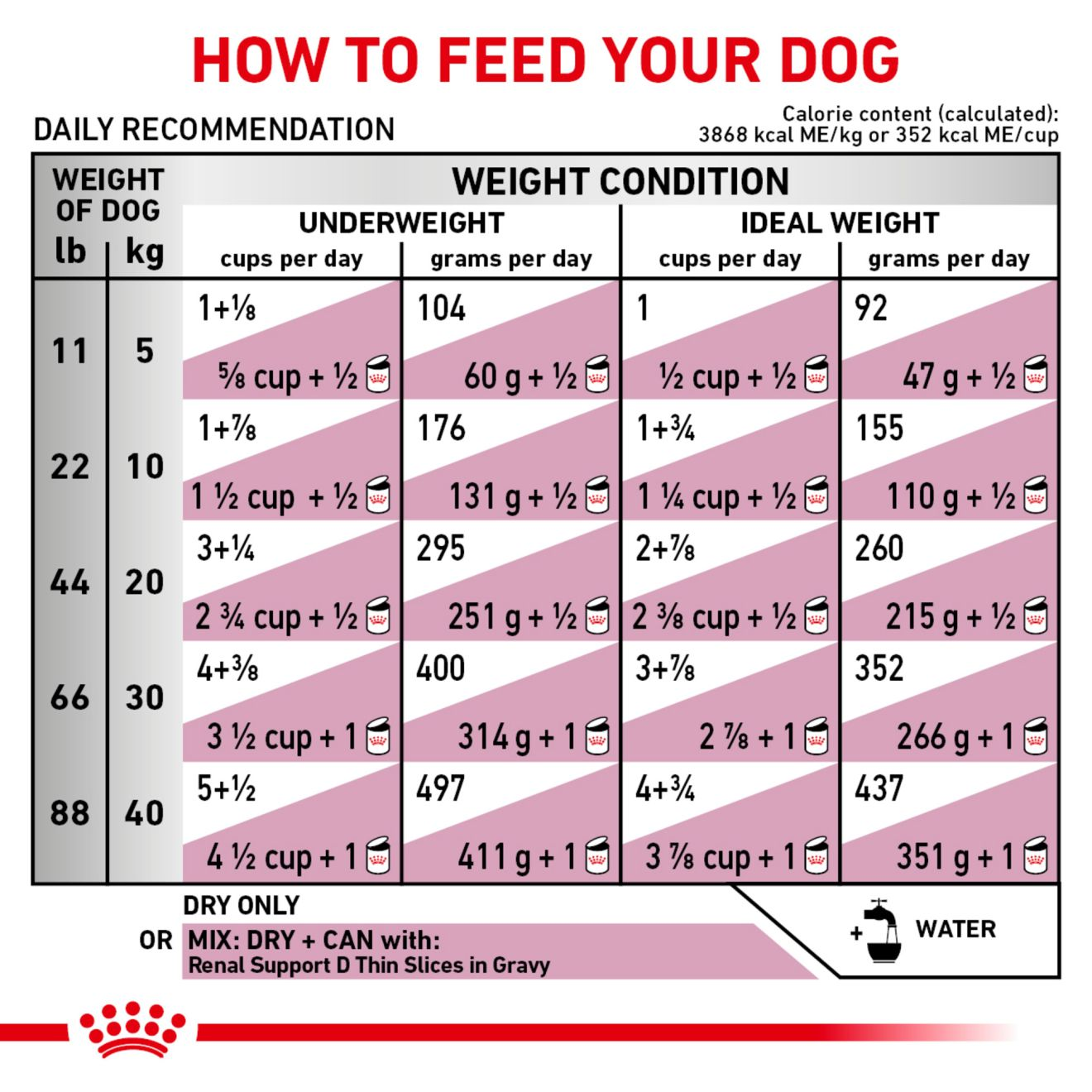 Canine Renal Support A