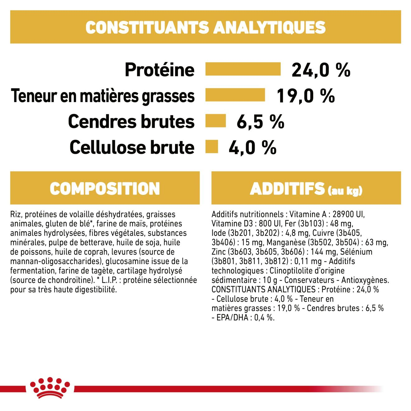 Berger Allemand Adulte