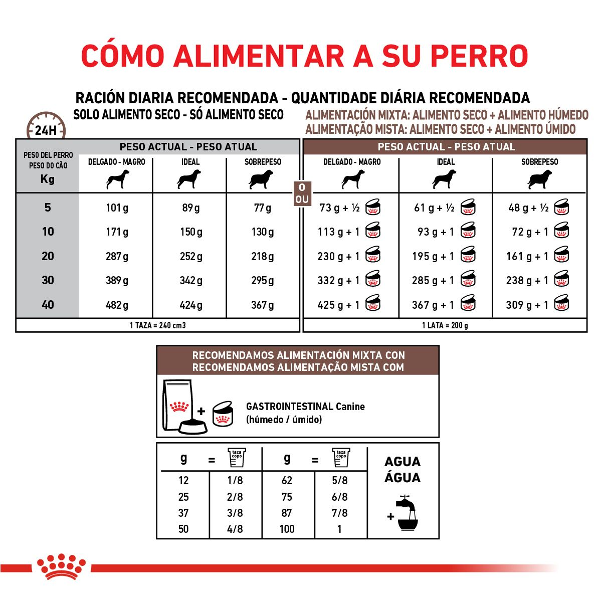 Gastrointestinal Canine