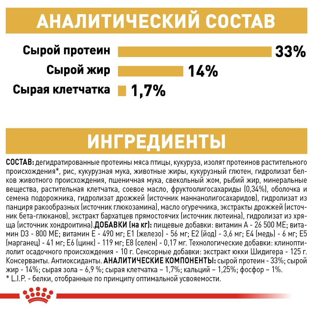 Labrador Retriever Puppy