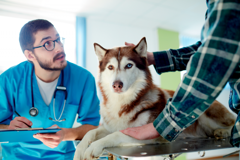  The clinician must force themselves to think about abuse in the first place, and NAI should be included in the differential diagnosis list of many cases when in the consult room