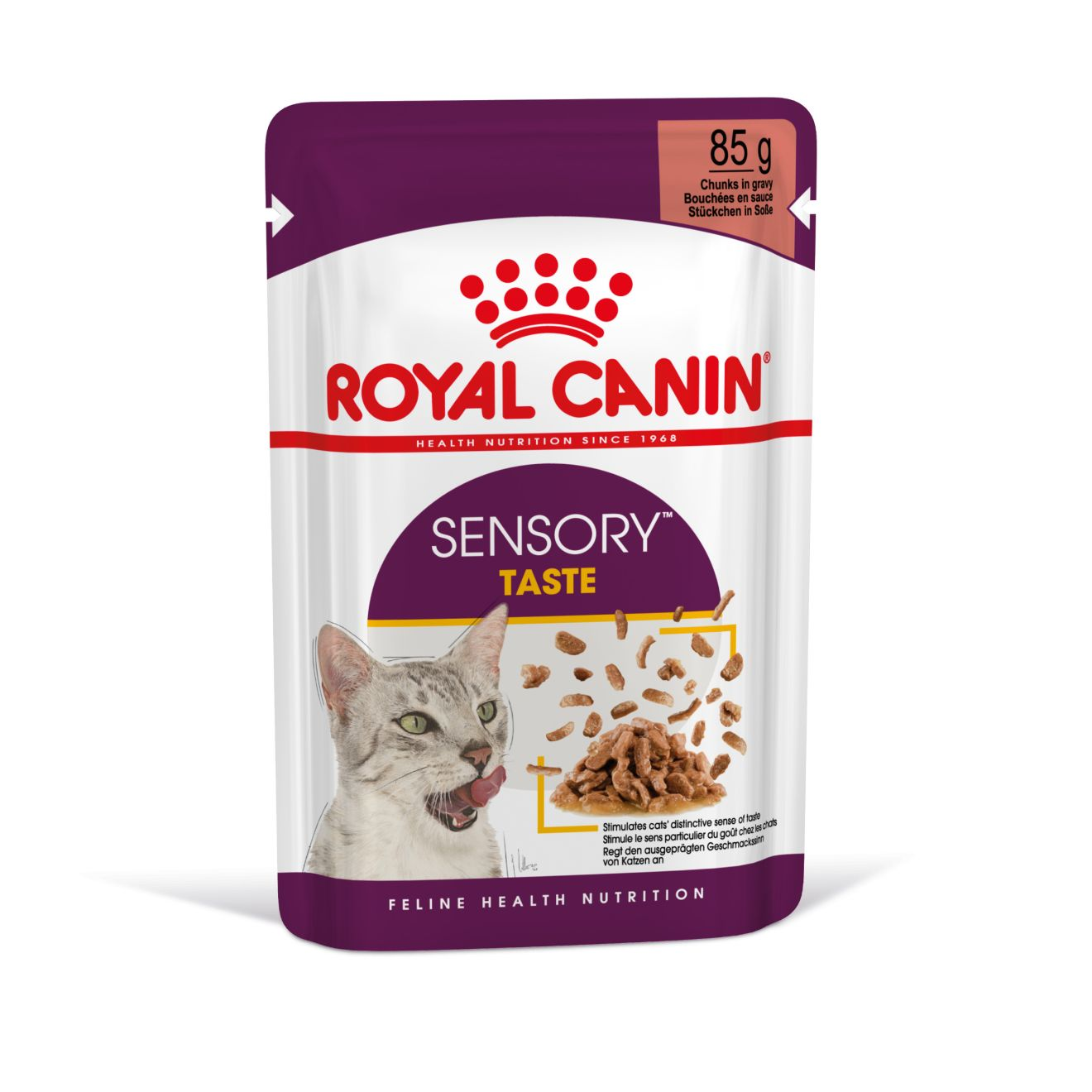 Sensory Taste Gravy Adult 